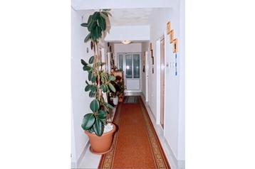 Chorwacja Privát Korčula, Zewnątrz